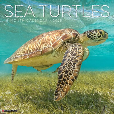 2025 Willow Creek Sea Turtles 12 x 12 Monthly Wall Calendar (44780)