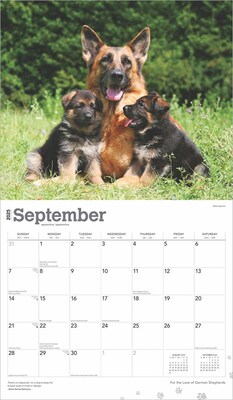 2025 BrownTrout For the Love of German Shepherds 7" x 12" Monthly  Wall Calendar (9781975473037)