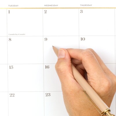 2025-2026 Cambridge Workstyle 15" x 12" Academic Monthly Wall Calendar, White/Gold (1606-707A-26)