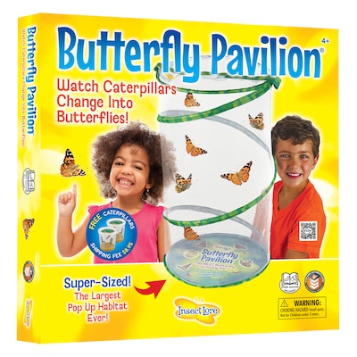 Butterfly Pavilion (ILP1885)