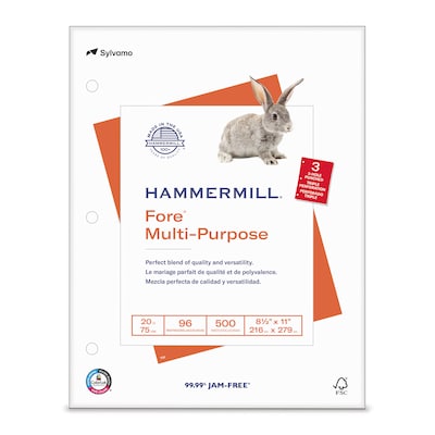 Hammermill Fore 8.5" x 11", 3-Hole Punched  Multipurpose Paper, 20 lbs., 96 Brightness, 500 Sheets/Ream (103275)