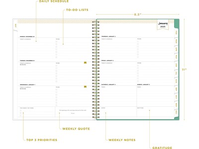 2025 Blue Sky Day Designer Peyton White 8.5" x 11" Weekly & Monthly Planner, Plastic Cover, Multicolor (103618-25)