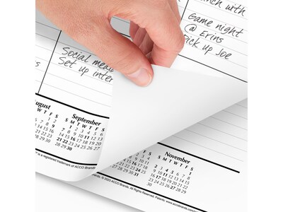 2025 AT-A-GLANCE 21.75 x 17 Monthly Desk Pad Calendar, White/Black (SK22-00-25)