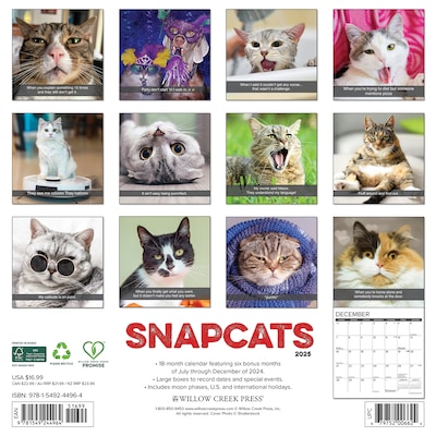 2025 Willow Creek Snapcats 12 x 12 Monthly Wall Calendar (44964)