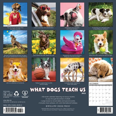 2025 Willow Creek What Dogs Teach Us 12 x 12 Yearly Wall Calendar (45350)