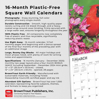 2025 BrownTrout Cardinals 12" x 24" Monthly Square Wall Calendar, (9781975476786)