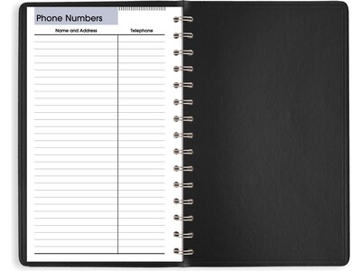 2025 AT-A-GLANCE DayMinder 5" x 8" Daily Planner, Faux Leather Cover, Black (SK46-00-25)
