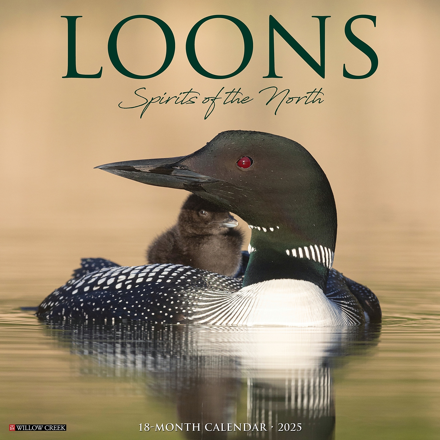 2025 Willow Creek Loons 12 x 12 Monthly Wall Calendar (43806)