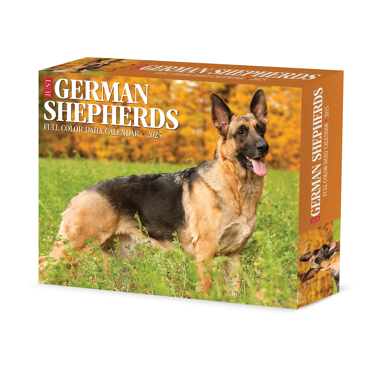 2025 Willow Creek German Shepherds 6 x 5.5 Day-to-Day Calendar, Multicolor (40843)