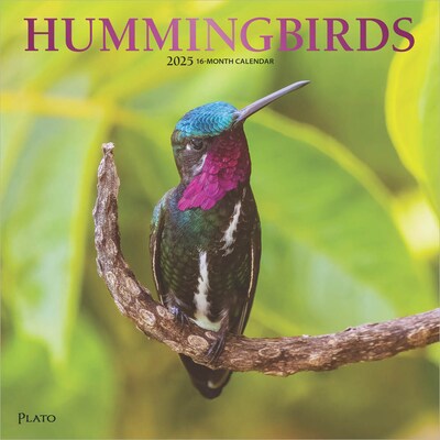 2025 Plato Hummingbirds 12 x 12 Monthly Wall Calendar (9781975479015)