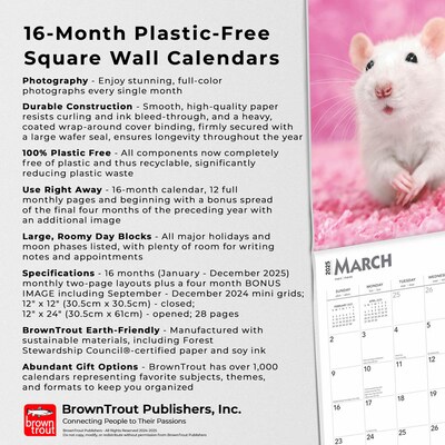 2025 BrownTrout Rats 12" x 12" Monthly  Wall Calendar (9781975477615)