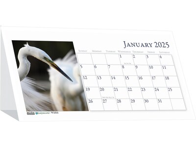 2025 House of Doolittle Earthscapes Wildlife 8.5 x 4.25 Monthly Desk Calendar (3689-25)