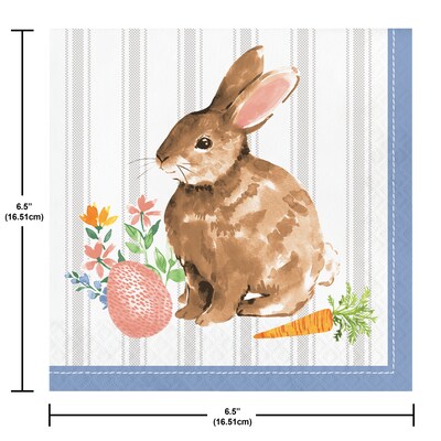 Creative Converting Cottage Easter Bunny Paper Plates and Napkins Kit, Serves 16 (DTC9199E2G)