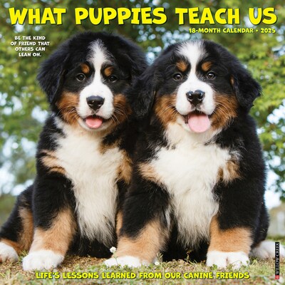 2025 Willow Creek What Puppies Teach Us 12 x 12 Monthly Wall Calendar (45411)