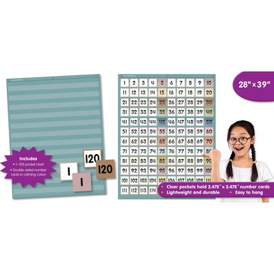 Teacher Created Resources Calming Colors 1-120 Pocket Chart, 28" x 39" (TCR20754)