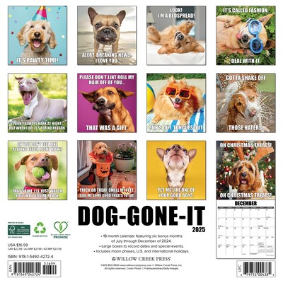 2025 Willow Creek Dog-Gone-It 12 x 12 Monthly Wall Calendar (42724)