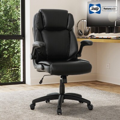 Sealy Posturepedic Hudson Ergonomic Swivel Office Chair, Black (64627)