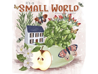 2024 BrownTrout Its a Small World 12 x 12 Monthly Wall Calendar (9781773728056)