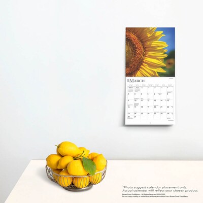 2025 BrownTrout Sunflowers 7" x 7" Monthly Mini Wall Calendar (9781975473976)