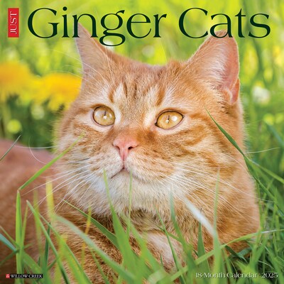 2025 Willow Creek Just Ginger Cats 12 x 12 Monthly Wall Calendar (43059)