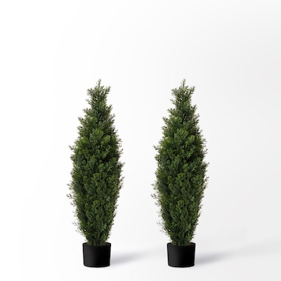 Forever Leaf 36" Cedar Boxwood in Black Pot, 2/Pack (FEV-2PBOX36)