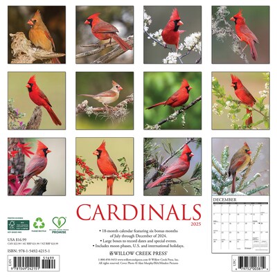 2025 Willow Creek Cardinals 12" x 12" Monthly Wall Calendar (42151)