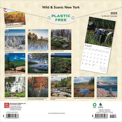 2025 BrownTrout New York Wild & Scenic 12 x 24 Monthly Square Wall Calendar (9781975475437)