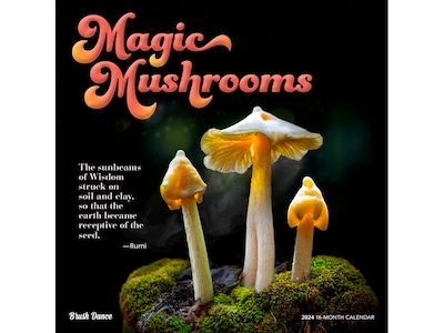 2024 Brush Dance Magic Mushrooms 12 x 12 Monthly Wall Calendar (9781975470104)