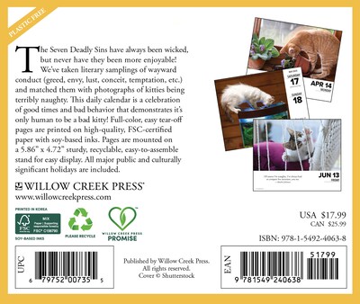 2025 Willow Creek Bad Kitties 6.2 x 5.4 Day-to-Day Calendar (40638)