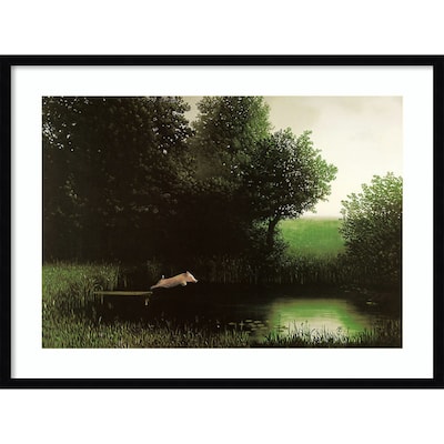 Amanti Art Diving Pig by Michael Sowa Wood Framed Wall Art Print, 33 x 25 (A42675524653)