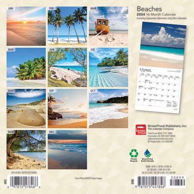 2024 BrownTrout Beaches 7 x 14 Monthly Wall Calendar (9781975457846)