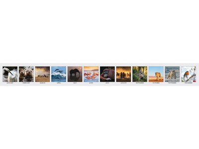 2025 House of Doolittle Earthscapes Wildlife 8.5" x 4.25" Monthly Desk Calendar (3689-25)