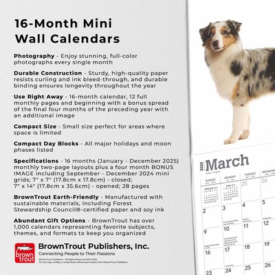 2025 BrownTrout Australian Shepherds 7" x 7" Monthly Mini Wall Calendar (9781975473310)