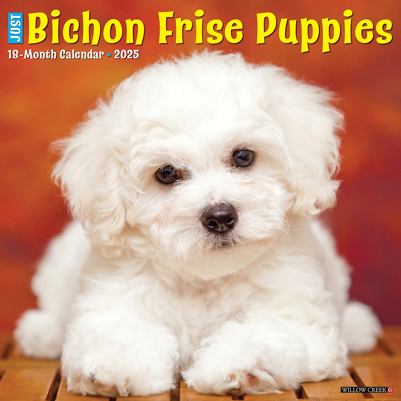 2025 Willow Creek Just Bichon Frise Puppies 12 x 12 Monthly Wall Calendar (41734)