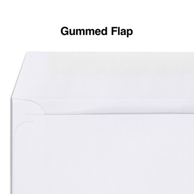 Staples® Gummed Double-Window 4 3/16 x 9 Envelopes for Laser Forms; White 1,000/Box (381911/17045)