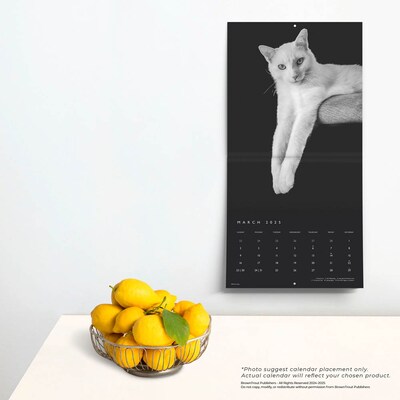 2025 BrownTrout Portrait Series: The Regal Cat 12" x 12" Monthly Wall Calendar (9781975476809)