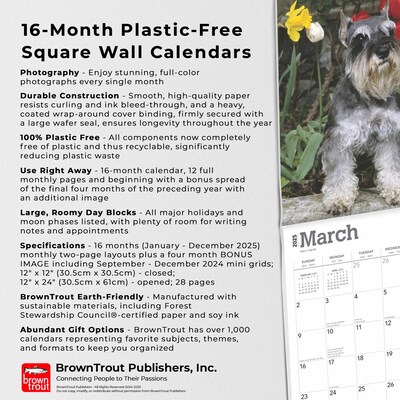 2025 BrownTrout Schnauzers 12" x 24" Monthly Square Wall Calendar (9781975477677)