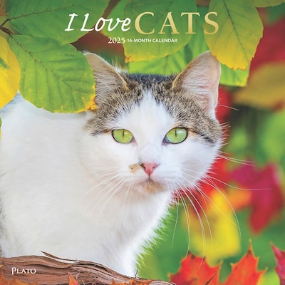 2025 Plato I Love Cats 12 x 12 Monthly  Wall Calendar (9781975478957)