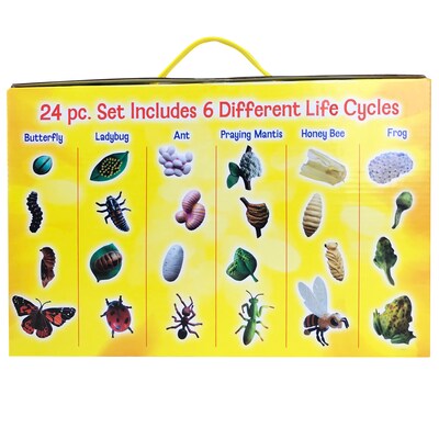 Insect Lore Life Cycle Figurines Set, 24 Pieces (ILP2205)