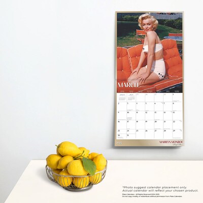 2025 Plato Marilyn Monroe 12" x 12" Monthly  Wall Calendar (9781975480073)