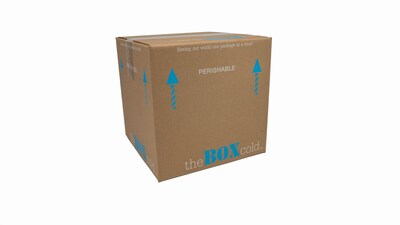 10" x 10" x 10" Insulated Shipping Boxes (E04734-S)