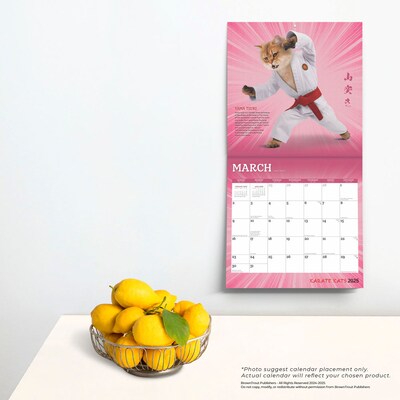 2025 BrownTrout Karate Cats 12" x 24" Monthly Square Wall Calendar, (9781975479831)