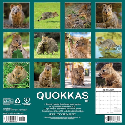 2025 Willow Creek Calendar 12 x 12 Yearly Wall Calendar, Quokkas 2025 (46562)