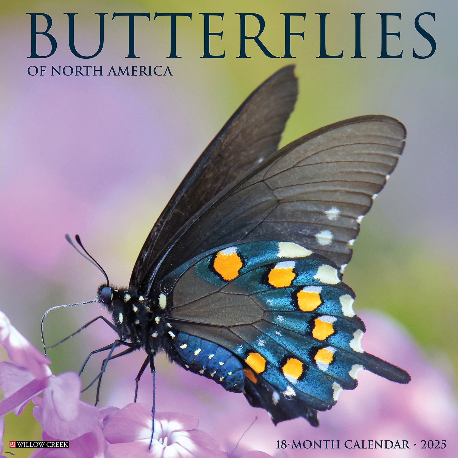 2025 Willow Creek Butterflies 12 x 12 Monthly Wall Calendar (42052)