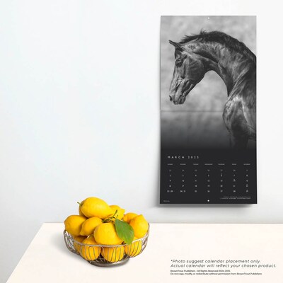 2025 BrownTrout Portrait Series: The Noble Horse 12" x 12" Monthly Wall Calendar (9781975477158)