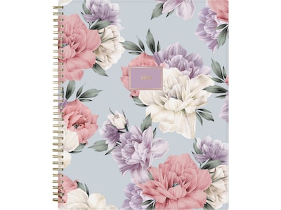 2025 Blue Sky Tula 8.5" x 11" Weekly & Monthly Planner, Plastic Cover, Multicolor (143971-25)