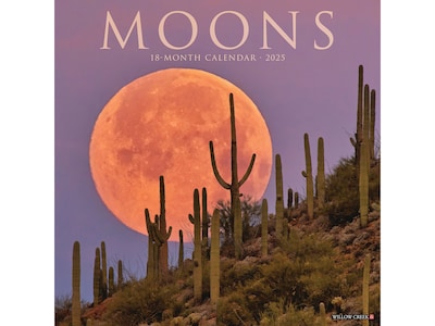 2025 Willow Creek Moons 12 x 12 Monthly Wall Calendar (44025)