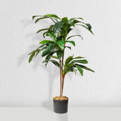 Forever Leaf 48" Artificial Dracaena Plant in Black Pot (FEV-DRA48)