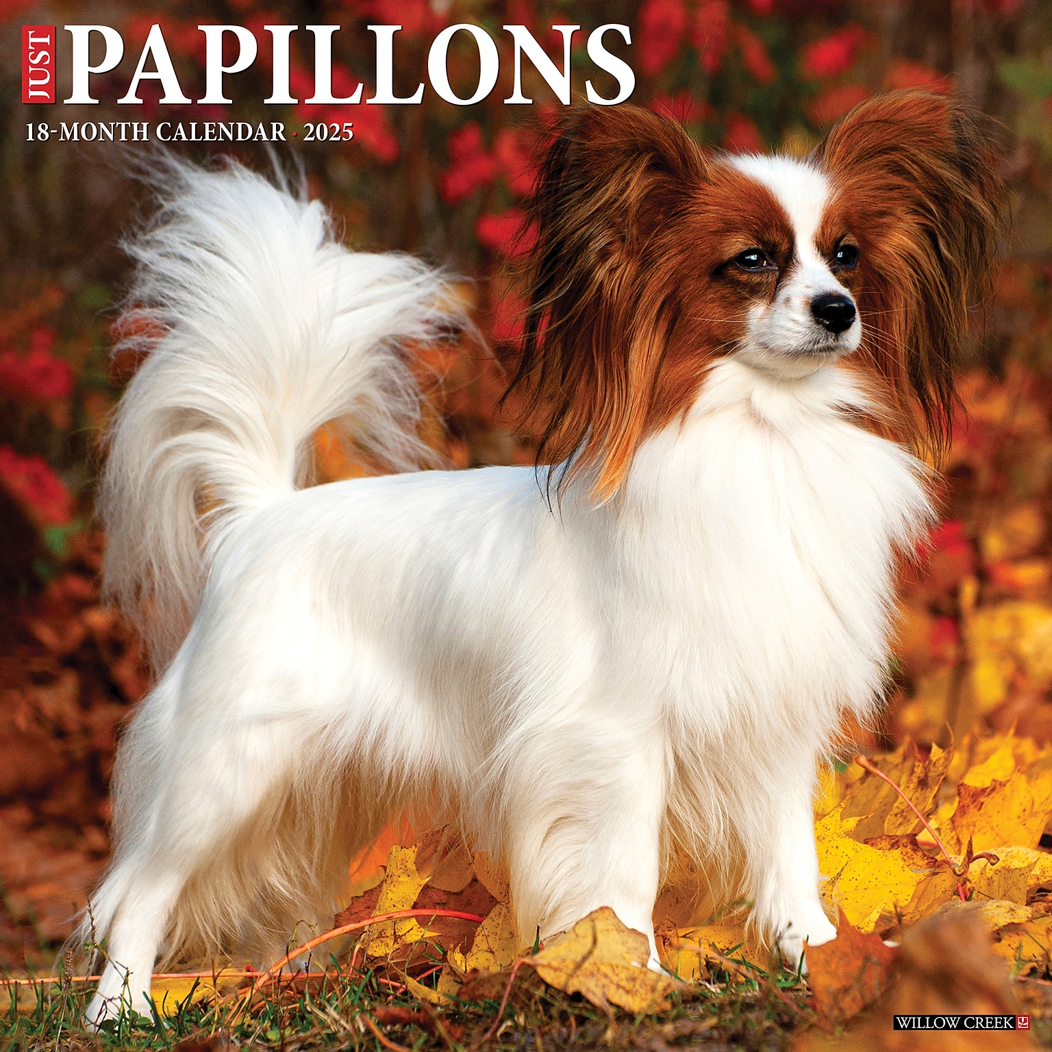 2025 Willow Creek Just Papillons 12 x 12 Monthly Wall Calendar (44360)