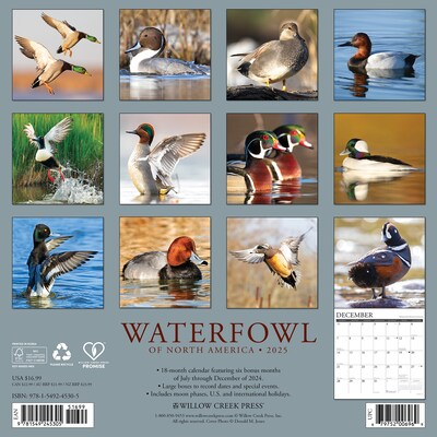 2025 Willow Creek Waterfowl 12 x 12 Monthly Wall Calendar (45305)